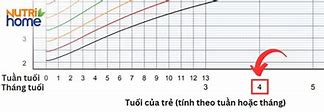 Cân Nặng Trẻ Sơ Sinh Theo Tuần