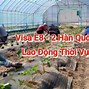 Visa Lao Động Thời Vụ Ở Hàn Quốc E8 Là Gì